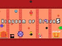 Kingdom of Ninja 5 image