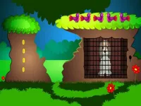 Senior Dog Escape image