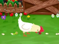 Stupid Chicken image