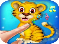 Animal Toush Panda image